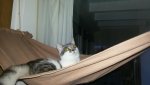 20141103_165027.jpg