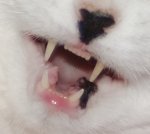 Lucy_Gaehnen_Ausschnitt.jpg Lucy_Gaehnen_Ausschnitt.jpg