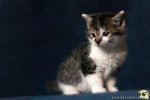 IMG_107596753324042.jpg
