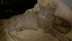 DSC_8135.jpg