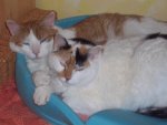 100_0288.jpg
