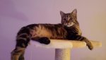 Unsere Lady2.jpg