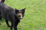 IMG_0797.jpg