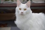 DSC_0121.jpg