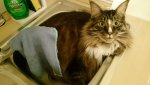 Linus im Bett.jpg