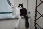 DSC_0028.jpg