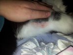 20150207_164339.jpg