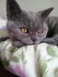 20140626_180622.jpg