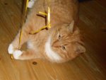 DSCN0299.jpg
