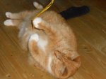 DSCN0303.jpg