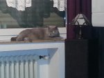 20150219_232833.jpg 20150219_232833.jpg