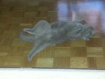 20150302_194313.jpg 20150302_194313.jpg