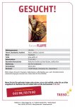 TASSO_Suchplakat_136256.jpg