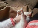 20150228_142119.jpg