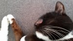 20150308_125752.jpg