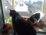 DSC06685.jpg