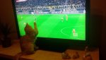 20150314_185927.jpg