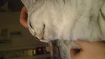 DSC_2186.jpg