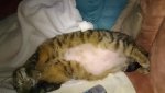 DSC_2388.jpg