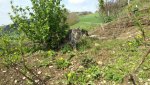 20150418_112901.jpg