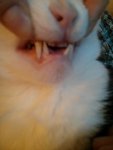 IMG_20150501_205000.jpg