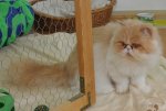 Grammie_301_7549_07.jpg