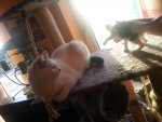 20150512_201312.jpg
