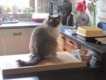 smokie19.jpg
