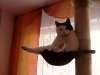 SAM_0562.jpg