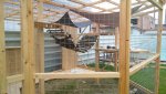 IMG_20150610_202717.jpg