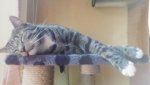 20150618_144802.jpg