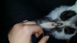 20150627_141110.jpg