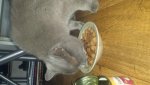 20150718_105352.jpg