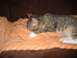 DSCF5806.JPG