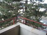 IMG_7231.jpg