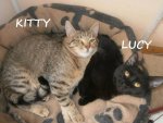 Kitty und lucy.jpg