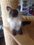 FB_IMG_1435926217289 (1).jpg