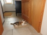 IMG_0488.jpg