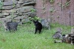 IMG_7469_1.jpg