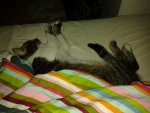 20150622_230957.jpg