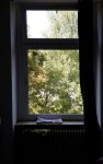 fenster.jpg fenster.jpg