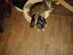20131117_212952.jpg