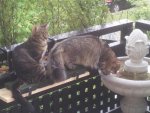 20140621_075734.jpg