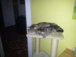 20140819_231739.jpg