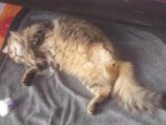 20140824_190157.jpg