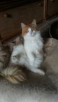 20150622_165133.jpg