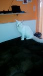 IMG-20150926-WA0004.jpg