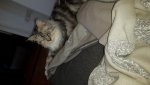 20151002_101318.jpg