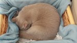 20150327_124133.jpg