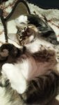 IMG-20151013-WA0022.jpg